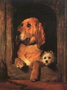 Sir Edwin Landseer Dignity and Impudence oil painting
